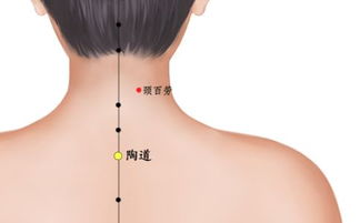 一、 整体运势的象征解读