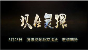 4、 婴灵苦难与家庭运势之间的关联假设