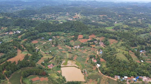 阴宅廿四山吉凶，哪十四山最吉利？