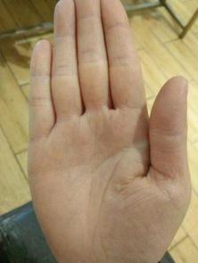 四、 婚姻关系与人际关系的作用于因素