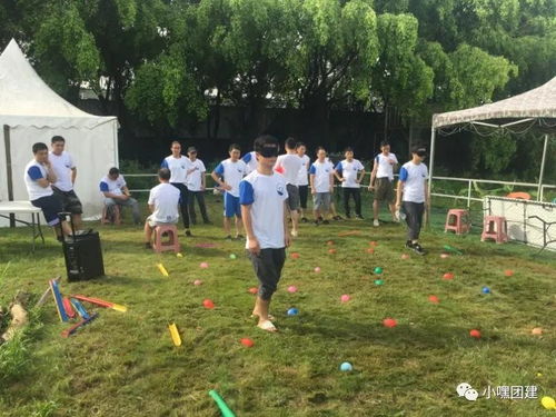 名称的魔力：一场旅游团队的趣味之旅