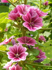 闺蜜群的那些花里胡哨的名字