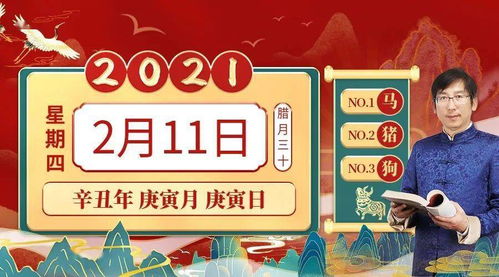 2026年1月11日吉日：今日宜出行，特吉生肖兔