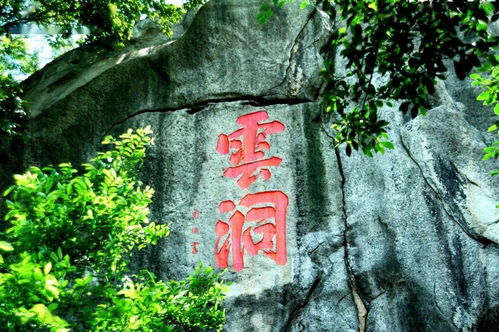 位置与概况：一个被低估的市区后花园