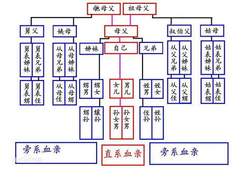 1.1 上元首日干支的四仲约束