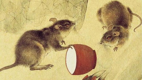 第一个大灾星：属马的