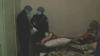 一、 探究缘起与现象概述