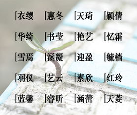 一些特殊的组合提议