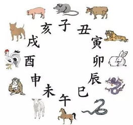 青年属什么生肖？年轻人指的是哪个生肖？