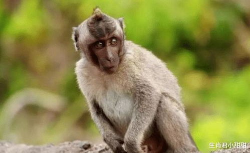 一、 先说说得聊聊咱们这个“危”姓