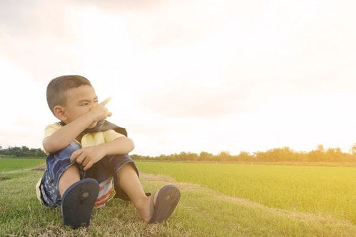 三、从季节意象到荒诞灵感——怎么把秋天搬进名字里？