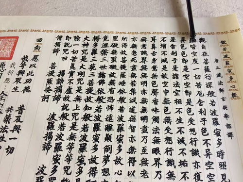 额外开支: 纪念品或特产