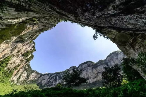 四大人坑风水和天坑风水学分别指什么？