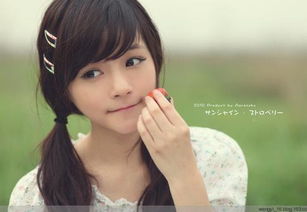 风水文化与网络身份认同：和谐共生的哲学思考