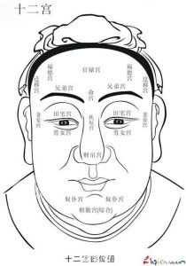 二、 具体相术技巧及其文化内涵