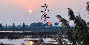 南方地区：祭祖仪式与禽畜祭献