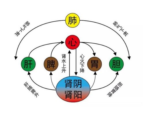 何谓疾厄宫？其在传统国学中的渊源