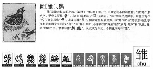 三、实际案例与经验分享