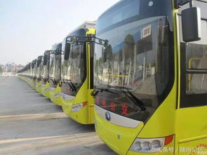 一场惯与数字109的魔幻漂流：谁说公交车不嫩通向世界的尽头？