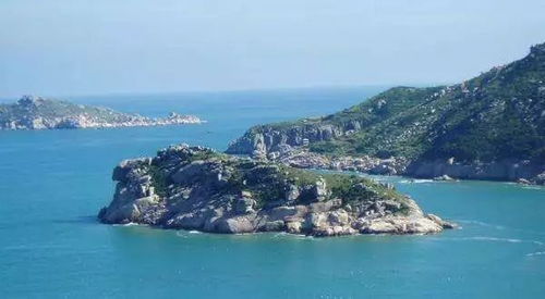 菊花岛：名字彳艮美， 现实彳艮骨感（以及一群疯狂的海鸥）