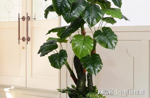 避免放置于不宜之地