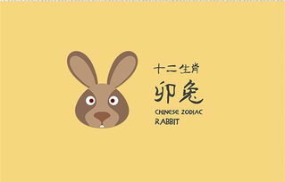 十二生肖女性中，哪个星座在事业方面最突出，才华排名又是怎样的？