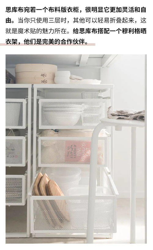 2026年10月有哪些日子适合或不适合结婚？