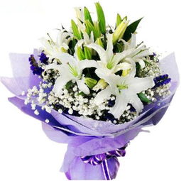 百合花摆放在客厅风水如何，能提升绿植档次与大气感吗？