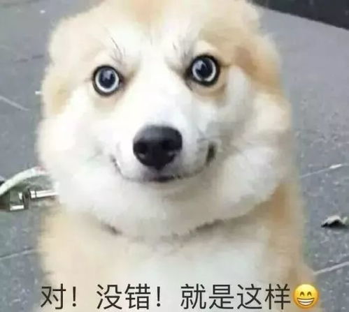 “动物世界”系列