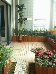 阳台种万年青需要注意哪些阳台风水禁忌？