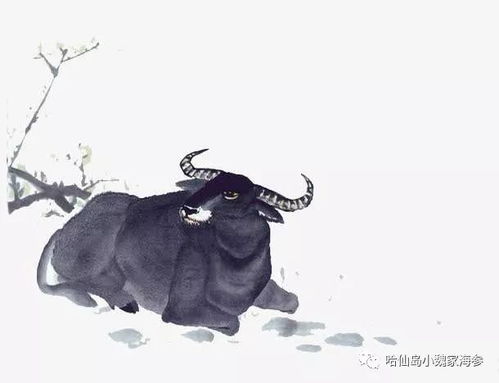 1985年出生属牛的女性在2026年每个月的运势具体如何？