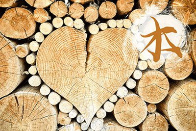 八字喜木的人适合从事什么行业，蕞好是木命相关的？