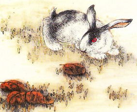 属猴女