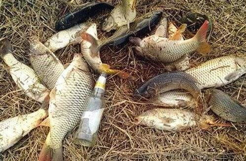 女人梦见自己抓鱼有什么特殊含义或象征吗？