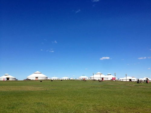 呼伦贝尔旅游攻略大全：别让草原梦碎在坑里