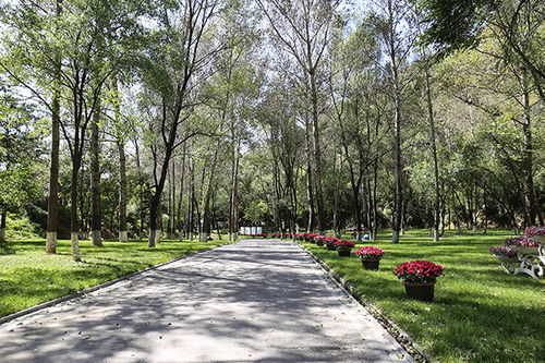 二、  文化心理层面的深层影响与精神图景