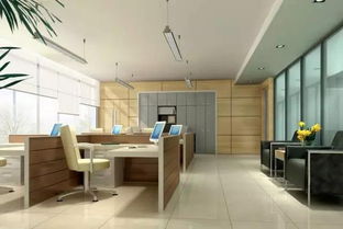 1.3 高档次且适宜老板办公室的专属植株