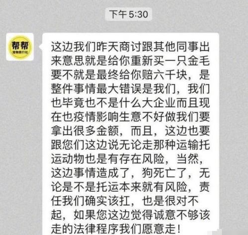 改名学大师的秘密手记：如何打造下一个“余悦聆”?