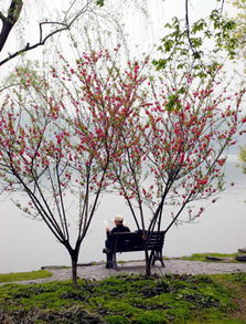 三月踏青别扎堆：被流量滤镜掩盖的春天 其实藏在人少许的地方