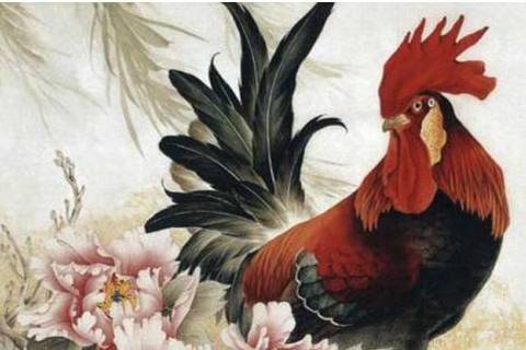 属鸡男性佩戴哪种饰品能带来最佳财运？