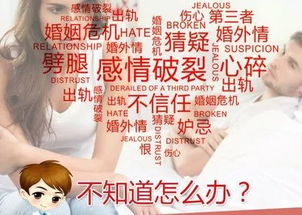 1.1 时间效应在情绪调适中的中介作用