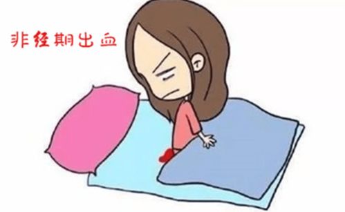 怎样调理月经