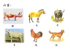 3. 六畜与农业：“马牛羊鸡犬猪”