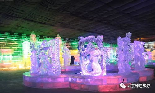 龙庆峡冰灯节：2026年冰火两重天的玄学狂欢