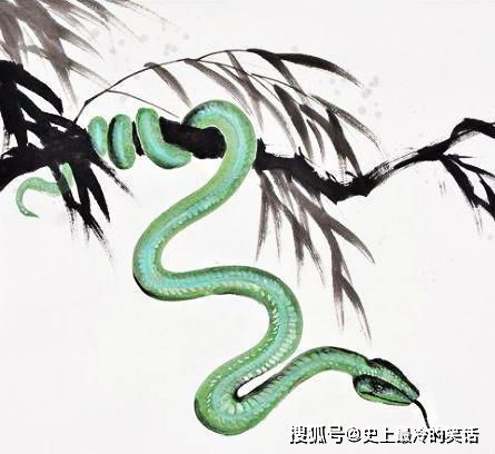 1. 龙身之灵动：从生物学到符号学