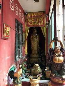 佛山风水堂，高明风水堂哪家更专业？