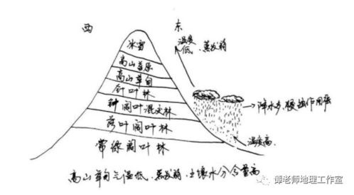 男命八字中仅含水和土元素，如何调整八字以平衡五行？