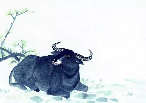 三、 属牛女：踏实稳重，精益求精