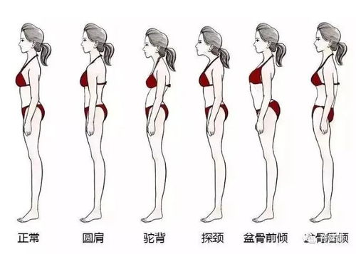 ：驼背与背影的微妙关联