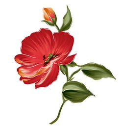 不可思议！梦见花说明近期运气爆表？